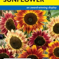 Sunflower Pastiche - Item #1925