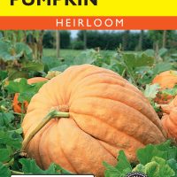 Pumpkin Atlantic Giant