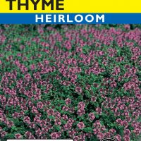 Thyme Creeping - Item #1930