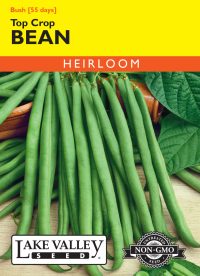 Bean (Bush) Top Crop