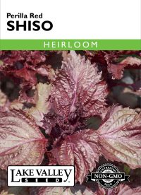 Shiso Perilla Red - Item #1935