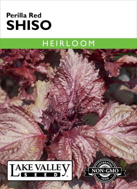 Shiso Perilla Red - Item #1935