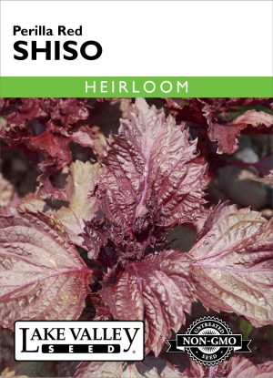 Shiso Perilla Red - Item #1935