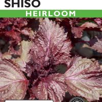 Shiso Perilla Red