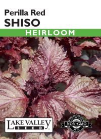 Shiso Perilla Red