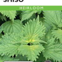 Shiso Perilla Green