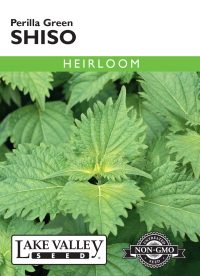 Shiso Perilla Green