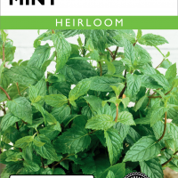 Mint spearmint 194