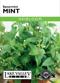 Mint spearmint 194