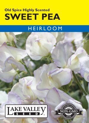 Sweet Pea Old Spice Highly Scented