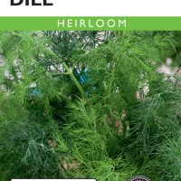 Dill Fernleaf - Item #1969