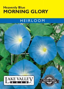 Morning Glory Heavenly Blue – Item #197