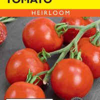 Tomato (Pole) Stupice