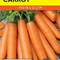 Carrot Little Finger