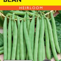 Bean (Bush) Landreth Stringless