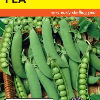 Pea Frosty (Bush)