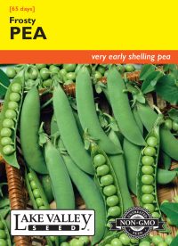 Pea Frosty (Bush)