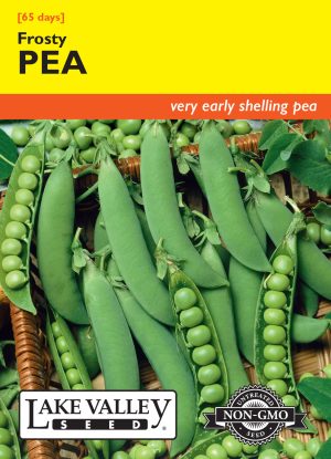 Pea Frosty (Bush)