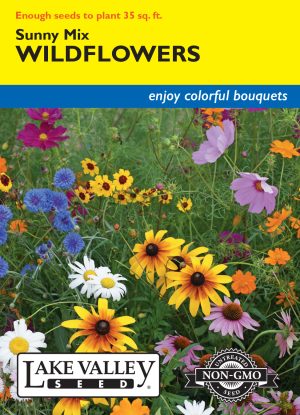 Wildflowers Sunny Mix
