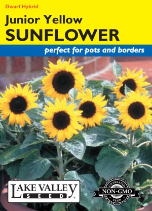 Sunflower Junior Yellow