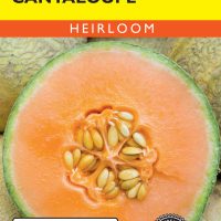 Cantaloupe Minnesota Midget