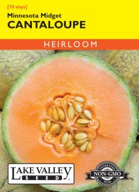 Cantaloupe Minnesota Midget