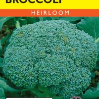 Broccoli Waltham 29