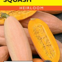 Squash (Winter) Jumbo Pink Banana