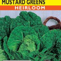 Mustard Greens Gai Choi