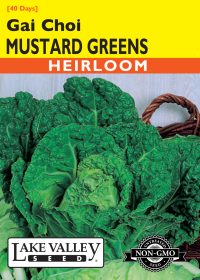 Mustard Greens Gai Choi