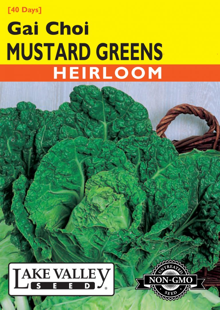 Mustard Greens Gai Choi Item 1989 Lake Valley Seed