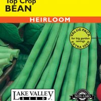 Bean (Bush) Top Crop