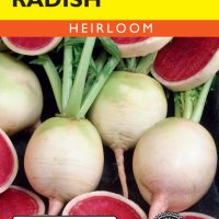 Radish Watermelon - Item #1999