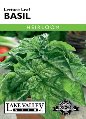 Basil Lettuce Leaf - Item #20