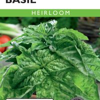 Basil Lettuce Leaf