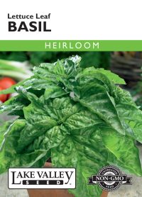 Basil Lettuce Leaf