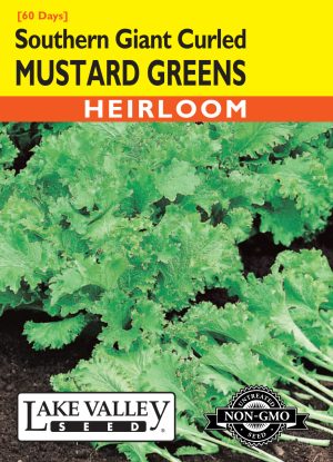 Mustard Greens Southern Giant Curled