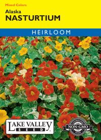 Nasturtium Alaska Mixed Colors