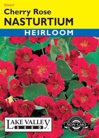 Nasturtium Cherry Rose