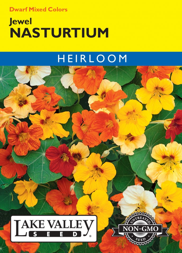 Nasturtium Jewel Dwarf Mixed Colors Item 205 Lake Valley Seed