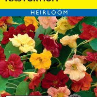 Nasturtium Glorious Gleam