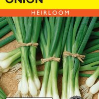 Onion White Lisbon Bunching