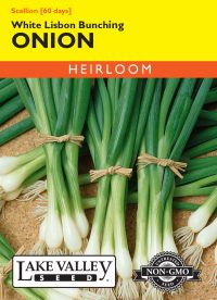 Onion White Lisbon Bunching