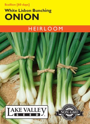 Onion White Lisbon Bunching