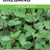 Oregano True Greek - Item #212