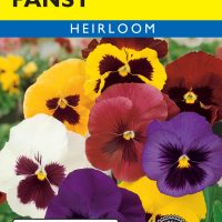 Pansy Swiss Giant