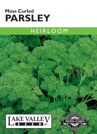 Parsley Moss Curled