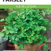 Parsley Italian Flat Leaf