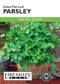 Parsley Italian Flat Leaf