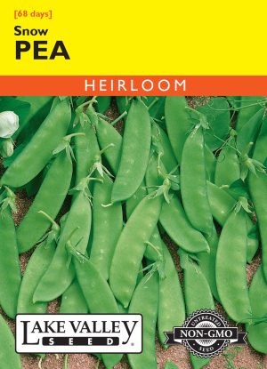 Pea Snow (Bush)